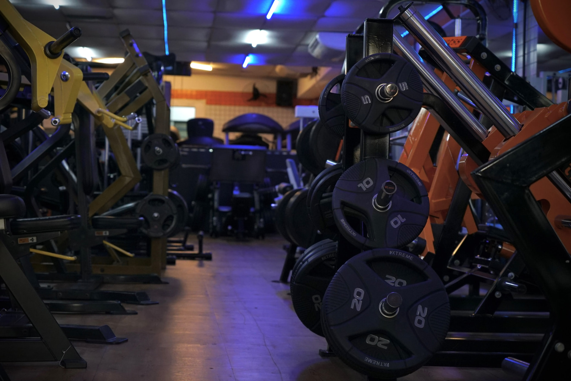 Estrutura da academia com máquinas de musculação e pesos livres